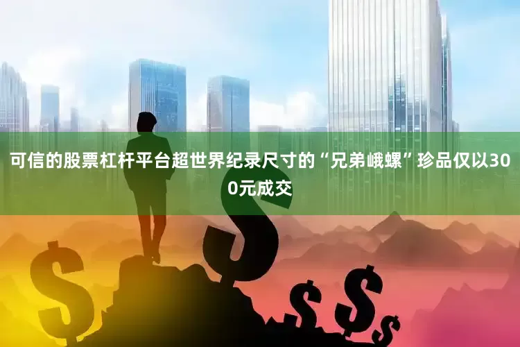 可信的股票杠杆平台超世界纪录尺寸的“兄弟峨螺”珍品仅以300元成交