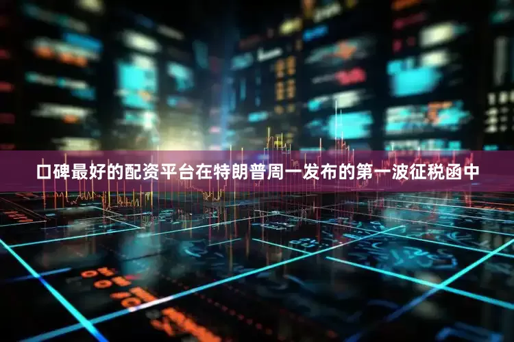 口碑最好的配资平台在特朗普周一发布的第一波征税函中