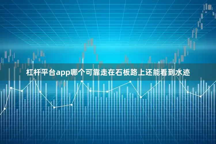 杠杆平台app哪个可靠走在石板路上还能看到水迹